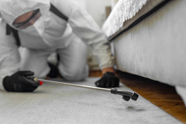 Professional Bed Bug Control technician working in Delray Beach, FL