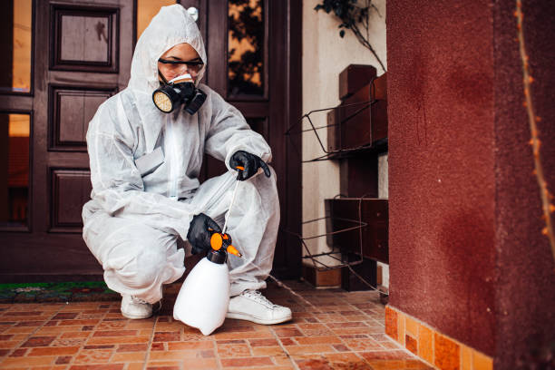 Reliable Bed Bug Control contractor in Delray Beach, FL by Nex Pest Control