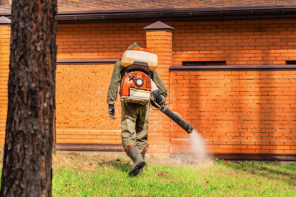 Trusted Rodent Control service in Delray Beach, FL - Nex Pest Control